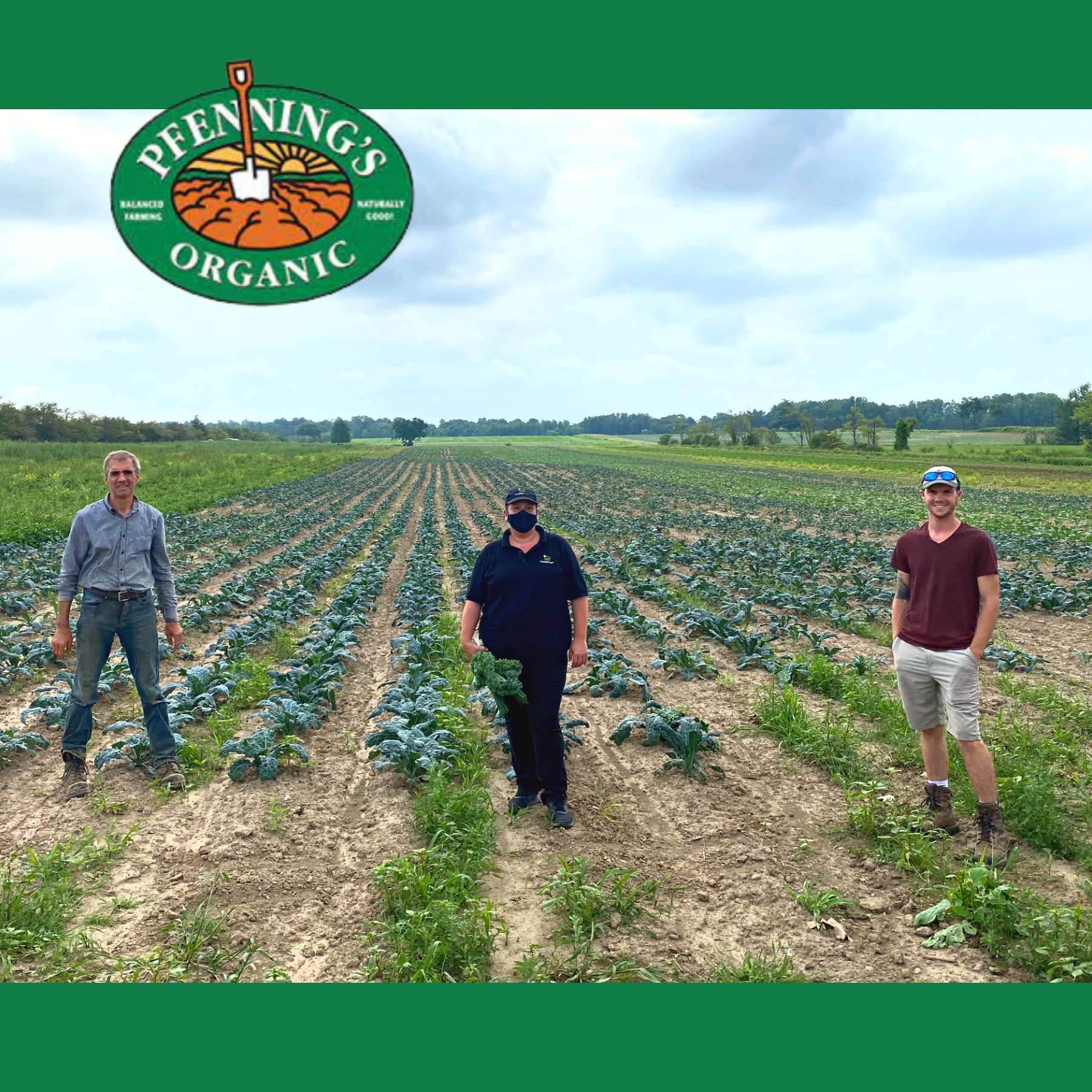 Pfenning's Organic Farms
