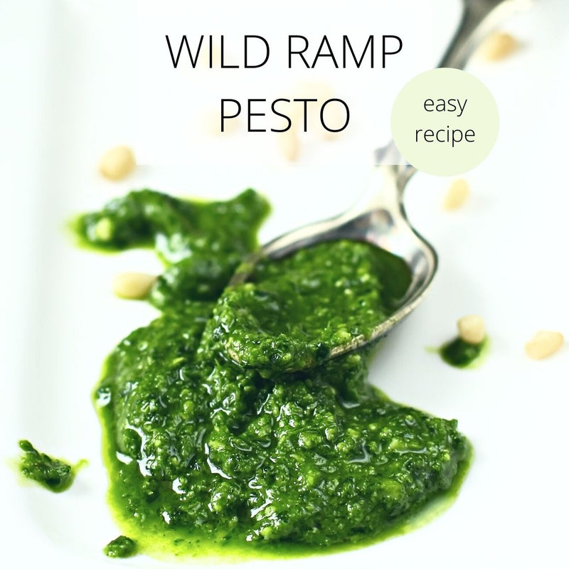Wild Ramp Pesto