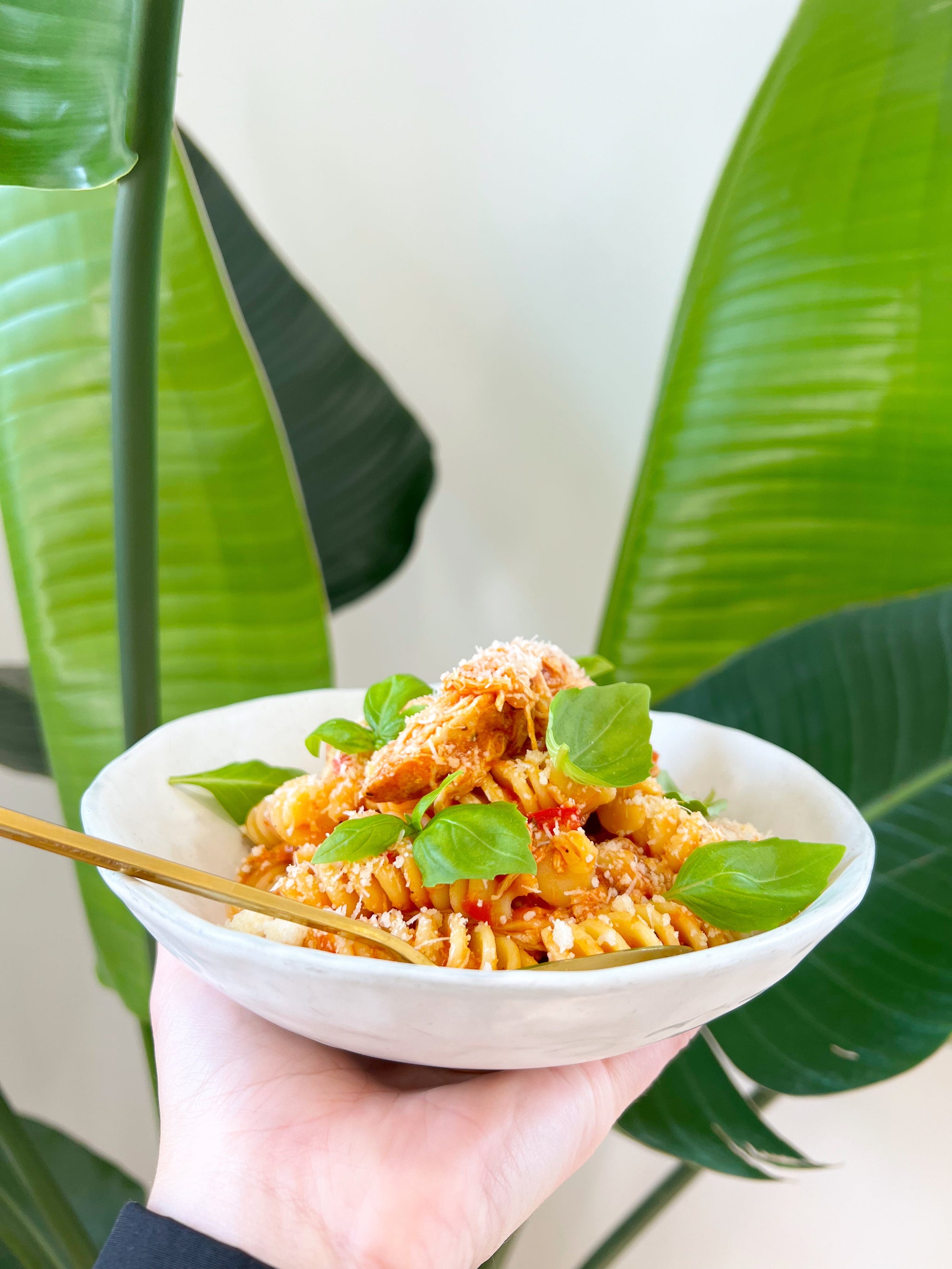 Ontario Summer Ratatouille Pasta
