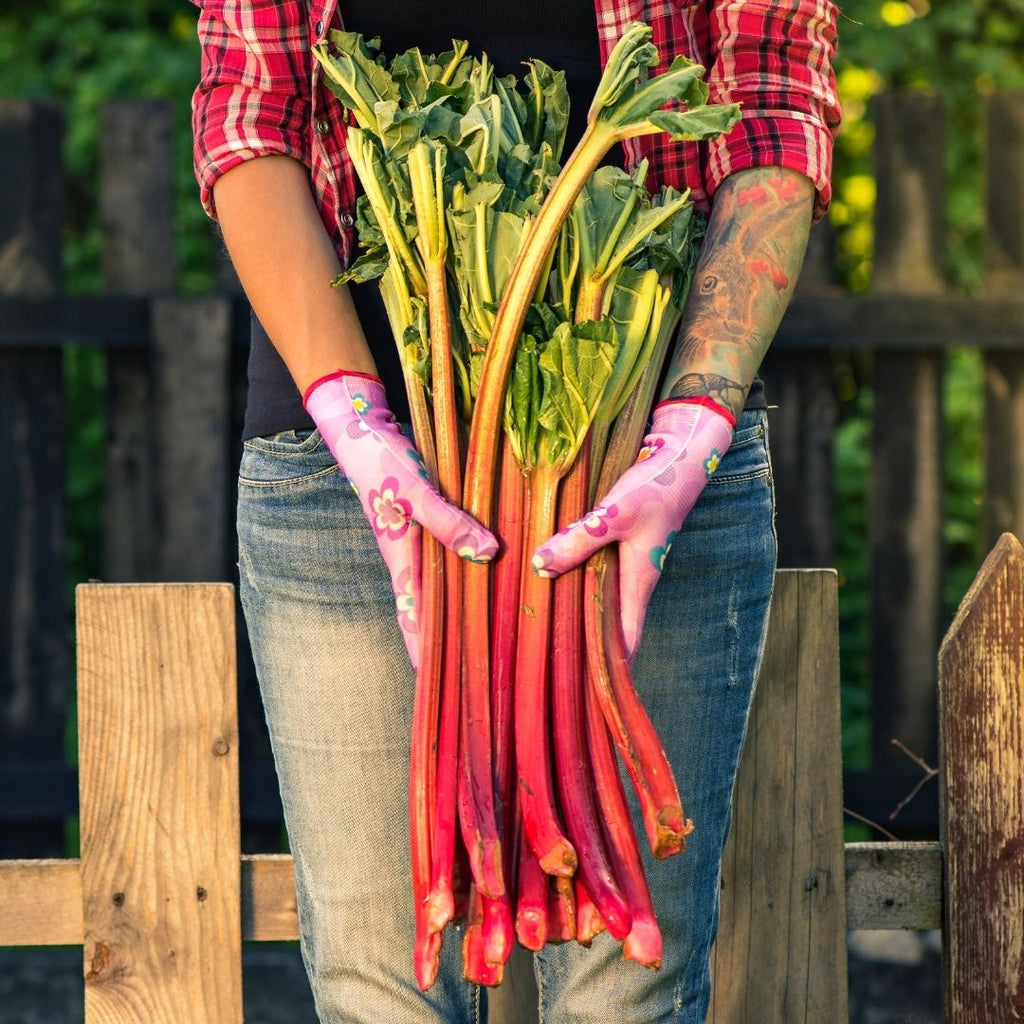 Our Favourite Early Spring Vegetables – Market Fresh