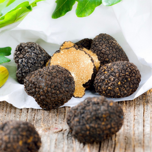 Périgord Truffles -Everything You Need To Know – Market Fresh